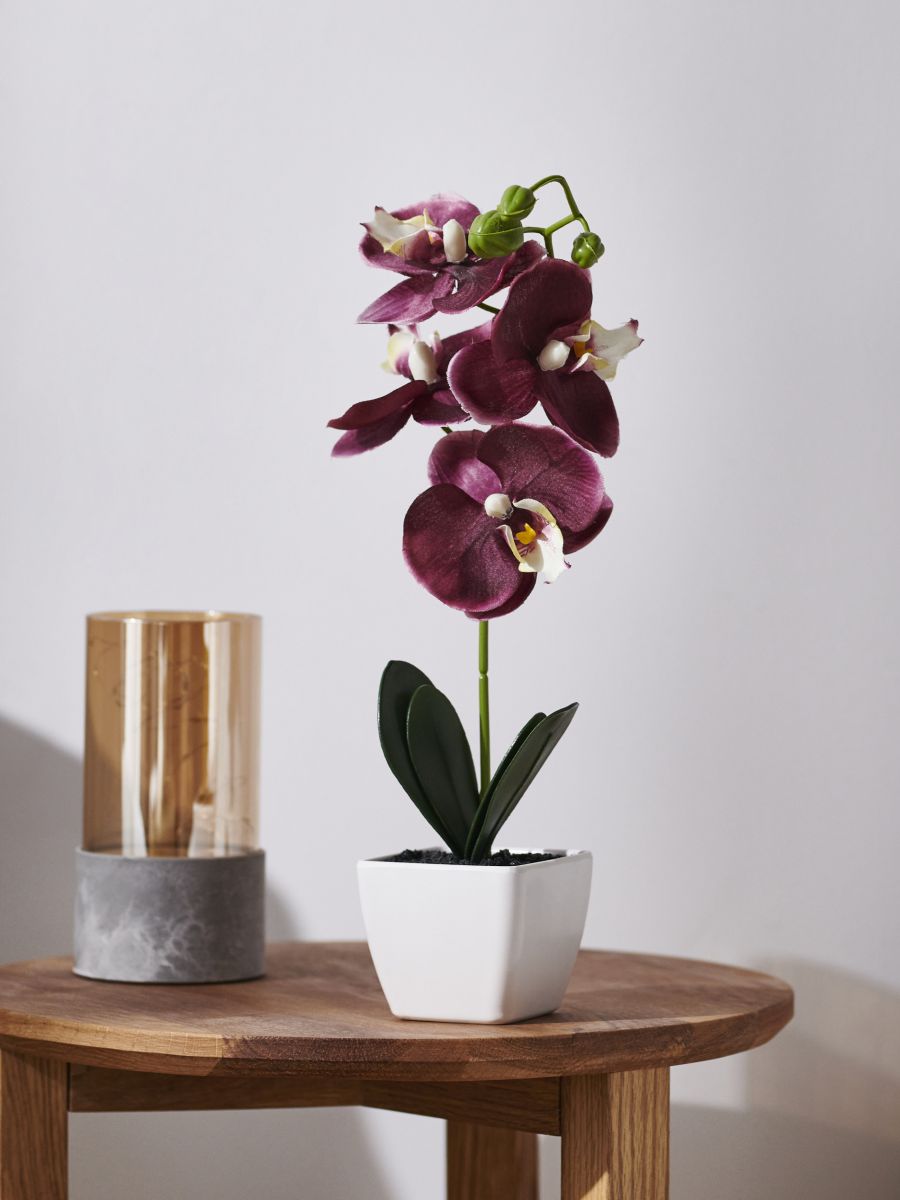 Ozdobná umelá rastlina - orchideová - SINSAY