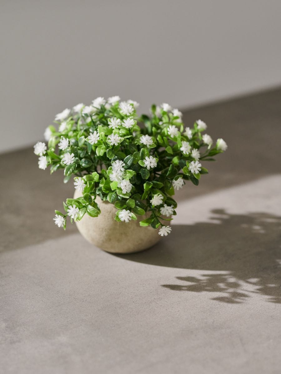 Декоративна штучна рослина - білий - SINSAY