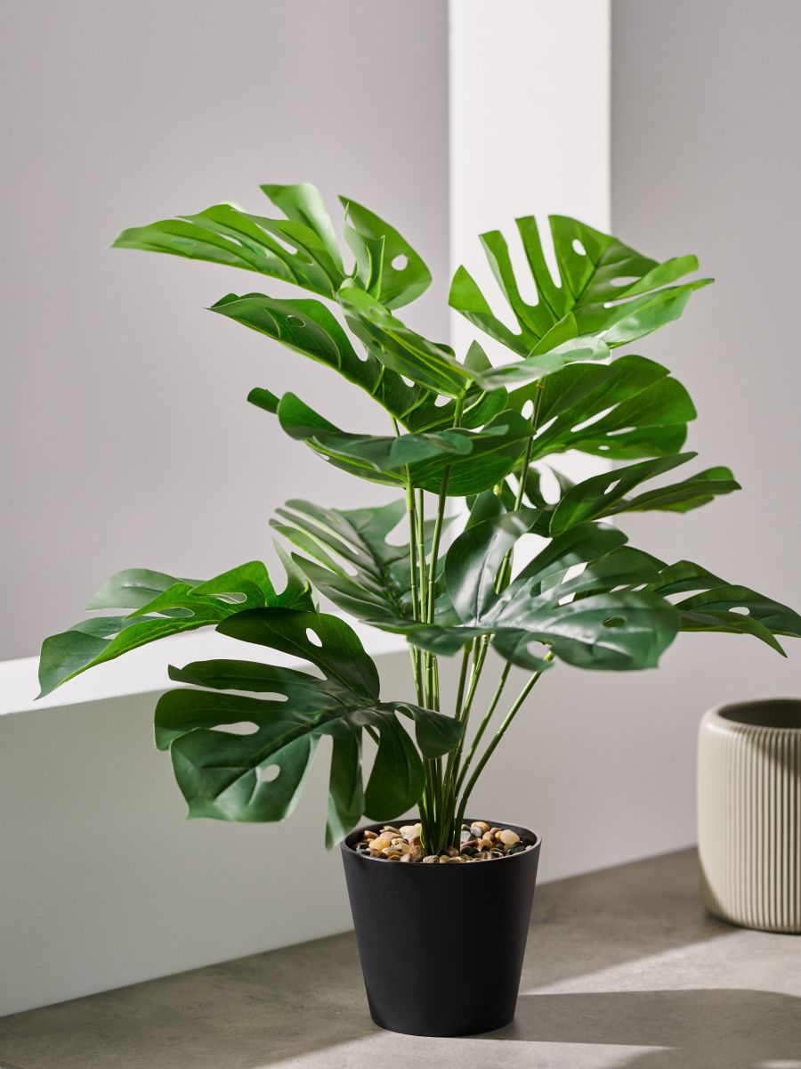 Декоративна штучна рослина - блідо-зелений - SINSAY