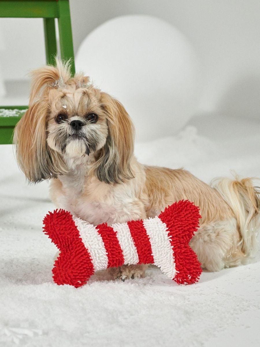 Božićna igračka za psa u obliku kosti - crvena - SINSAY