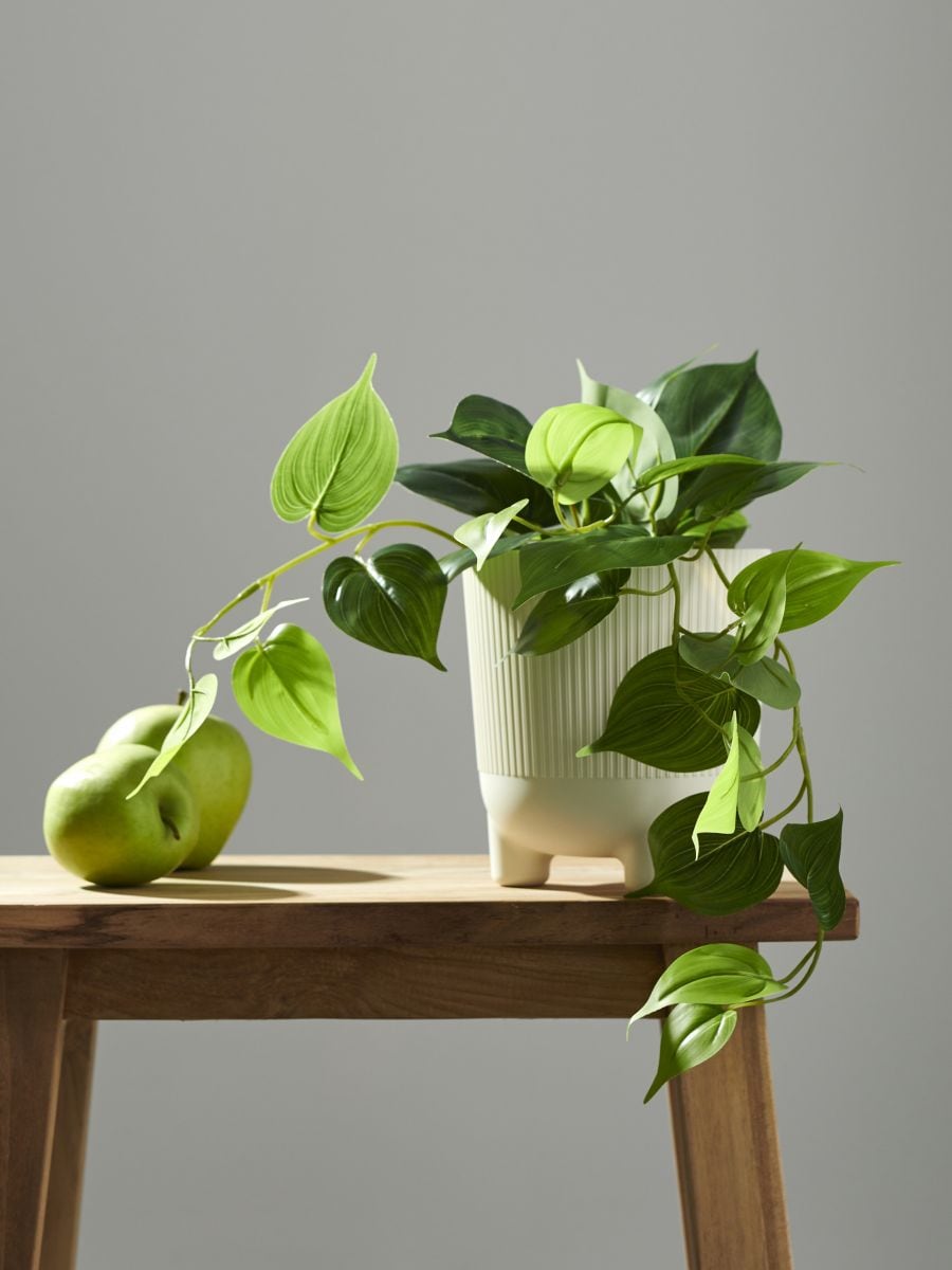 Διακοσμητικό ψεύτικο φυτό - πρασινο - SINSAY