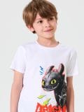 Dvodijelna pidžama How to train your dragon - bijelo - SINSAY - small6