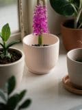 Blumentopf - Pastellrosa - SINSAY - small1