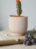 Saksija za biljke - roze - SINSAY - small1
