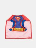 Costume cane Superman - multicolor - SINSAY - small3