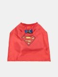 Costume cane Superman - multicolor - SINSAY - small6