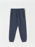 Παντελόνι φόρμας jogger - λουλακι - SINSAY - small2