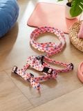 Povodac, ogrlica i am za psa - pastelno roze - SINSAY - small1