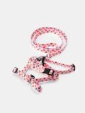 Povodac, ogrlica i am za psa - pastelno roze - SINSAY - small3