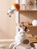 Dog toy - multicolor - SINSAY - small1