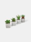 Ukrasna vještačka biljka 4 pack - bijelo - SINSAY - small3