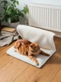 Pet bed - beige - SINSAY - small1