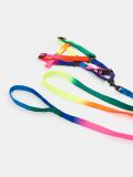 Lesă și ham pentru câini - multicolor - SINSAY - small2