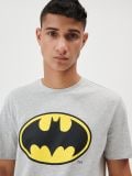T-särk Batman - helehall - SINSAY - small2