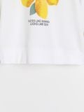 Duks sa printom - krem - SINSAY - small11