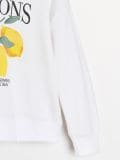 Duks sa printom - krem - SINSAY - small14