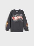 Komplet od žerseja Hot Wheels - tamno siva - SINSAY - small5