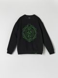 Bluza Harry Potter - czarny - SINSAY - small1