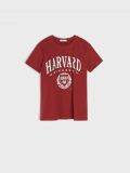T-Shirt Harvard - Burgunderrot - SINSAY - small2