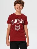 T-Shirt Harvard - Burgunderrot - SINSAY - small1