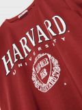 T-Shirt Harvard - Burgunderrot - SINSAY - small4
