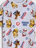 Majica PAW Patrol - svetlo siva - SINSAY - small9