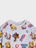 Majica PAW Patrol - svetlo siva - SINSAY - small10