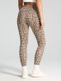 Legginsy w panterkę - wielobarwny - SINSAY - small2