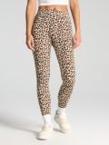 Legginsy w panterkę - wielobarwny - SINSAY - small4