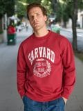 Φούτερ Harvard - ροζ - SINSAY - small1