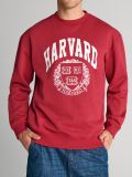 Φούτερ Harvard - ροζ - SINSAY - small5