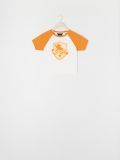 Harry Potter crop top with print - mustard - SINSAY - small4