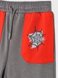 Donji dio trenerke Spiderman - sivo - SINSAY - small3