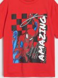 T-särk Spider-Man - punane - SINSAY - small10