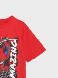T-särk Spider-Man - punane - SINSAY - small11