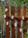 Solarne lampe - bijelo - SINSAY - small1