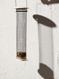 Linnusöötja - beež - SINSAY - small1
