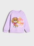 Світшот Paw Patrol - Фіолетовий - SINSAY - small1