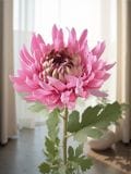 Ukrasna veštačka biljka - roze - SINSAY - small1