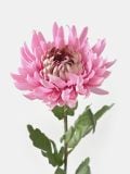 Ukrasna veštačka biljka - roze - SINSAY - small3