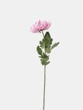 Ukrasna veštačka biljka - roze - SINSAY - small2