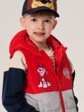 Γιλέκο PAW Patrol - κοκκινο - SINSAY - small4