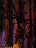 Halloweeni dekoratsioonid - must - SINSAY - small1