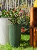Lillepott - heleroheline - SINSAY - small1