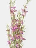 Dekoratiivne kunsttaim 3 pack - tumelilla - SINSAY - small3