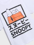 Majica kratkih rukava Peanuts - siva - SINSAY - small4