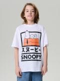 Majica kratkih rukava Peanuts - siva - SINSAY - small1