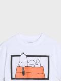 Majica kratkih rukava Peanuts - siva - SINSAY - small8