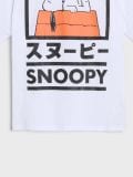 Majica kratkih rukava Peanuts - siva - SINSAY - small14