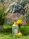 Solar LED lamp - valge - SINSAY - small1
